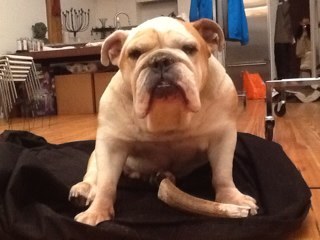 anashnyc's profile picture. 