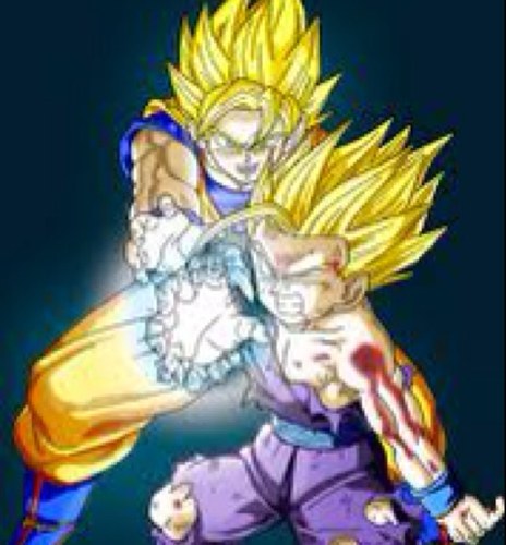 I'm Gohan the one who defeated Cell and I'm the son of Goku and Chi Chi. My best friends are @TeenTrunks_rp (rp-Parody)