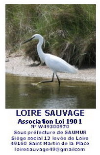 association pour la defense de la conservation de la Loire dans son etat naturel