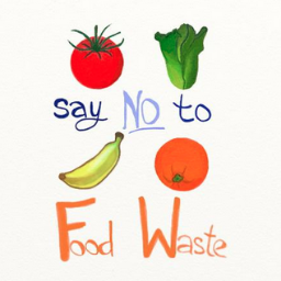 Say No To Food Waste