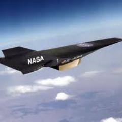 Blackbird in the sky