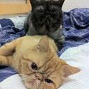 William Wee - @williamwee - Twitter