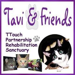 Volunteers helping animals through partnership, #TTouch, TNR, #rescue, #adoption; #AmericanCurl breed rescue. Adopt today!
http://t.co/ijuxAEaP33
