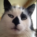 mick gray - @rudimgray - Twitter