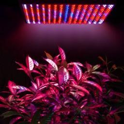 Super Lights, Super Life ^0^
Aim to find you the right LED grow lights! Goal is to be a leader in LED grow lights industry through best quality and service!