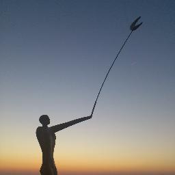 sandrasegers's profile picture. 