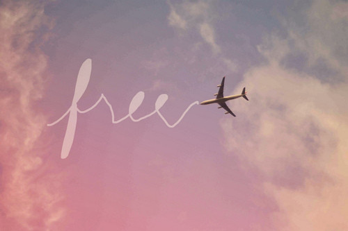 juliet3377's profile picture. 