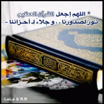 alkaabi01011's profile picture. 