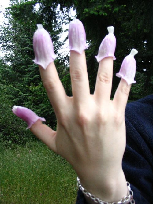 Abysmal_Witch's profile picture. A practicing witch and student of life seeking the questions that will bring enlightenment.