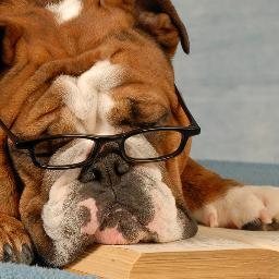 HerndonLibrary's profile picture. 