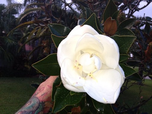 I_amNickB's profile picture. serious soical drinker with a running problem