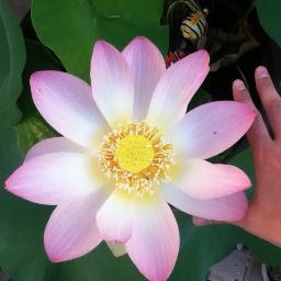 PlantzNThings's profile picture. 