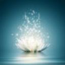 Anne Schuster - @SchusterAnne - Twitter