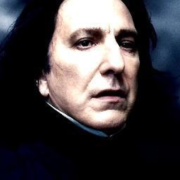 Potions master and head of #Slytherin,
I hate #Gryffindors, James Potter, and that mangy dog.
I take points from dunderheads
Turn to page 394...
#follow