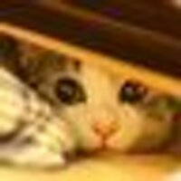 risca (@risca) Twitter profile photo