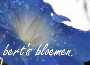 bert's bloemen zo begint u elke dag met een lach.