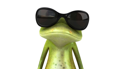 The Travel Frog gives you updates, information, reviews and news on the Canary Islands. Find us @ http://t.co/kBxTUpoP and hop on the FrogBlog!!