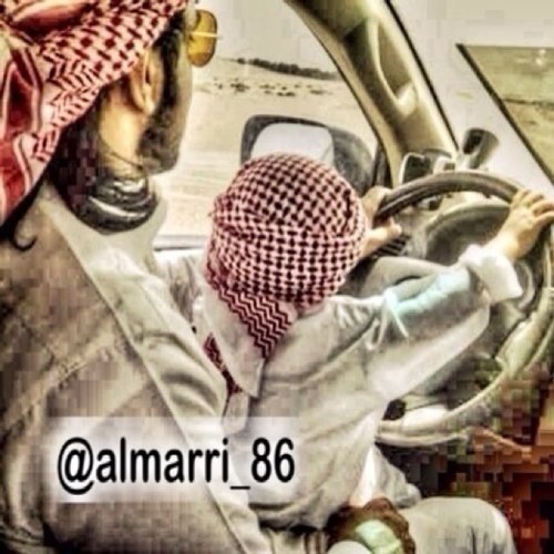 مُقتطفات شِعرية من بساتين الشِعر لـ ذويقي الشِعر ,