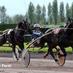 Stall Bergh (@stallbergh) Twitter profile photo Stall Bergh (@stallbergh) Twitter profile photo