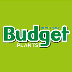 Meet the Green-finger dream team! Herbs*Ideas*Plants*Flowers*Trees* Accessories! Were as passionate about plants, as we are about the people who love them!