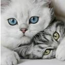 simon mensah - @mensah27simon - Twitter