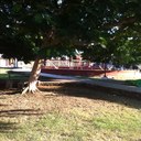 mario placencia - @mariosplash - Twitter