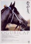 生涯運命共同体💞同じ時代に生きてる奇跡に感謝！！
動物も大好き🐶🐱🐴🐬🦜
YOSHIKIさんきっかけでSixTONESの6人も大好き！