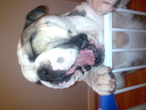 kevinphillips72's profile picture. 