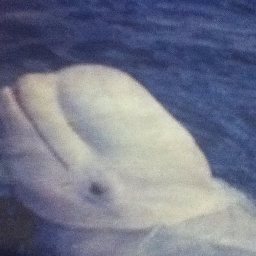 beth4769's profile picture. 