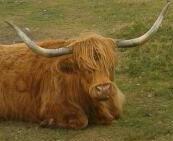 Dennis97354435's profile picture. 