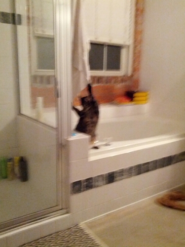 fafatler's profile picture. 