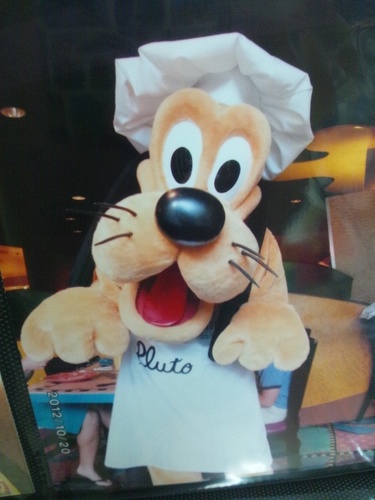 29do_mo29's profile picture. THE BACK HORN・10-FEET・Laputa・ディズニー・旅行が好き