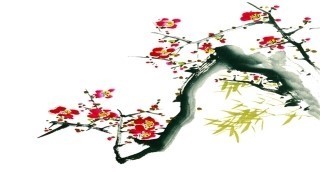 scj126126's profile picture. 사랑과 하늘문화로 세계 평화.광복을 만들어가는 신천지 입니다.