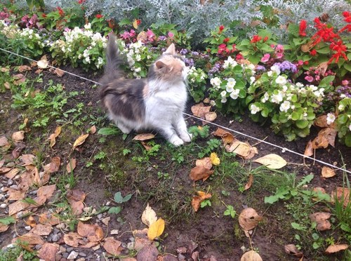 zlata_j's profile picture. 