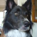 Jane Goodman - @janegoodman - Twitter