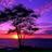 Charlie92147332's profile image