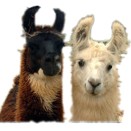 llamallama_es's profile picture. 