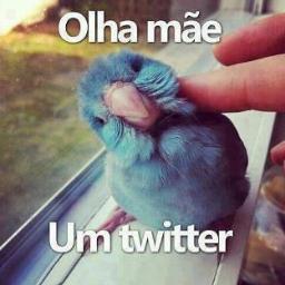 comi a bio vei