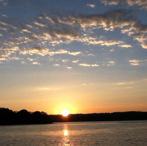 tvizioli's profile picture. 