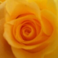 Dstas7 (@denaanastasio) 's Twitter Profile
