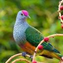 Caroline Potter - @Kiokilove - Twitter