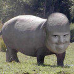 Multithreads's profile picture. 