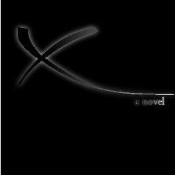 Tucson, AZ region co-ML for 2012. This year's novel is titled X.