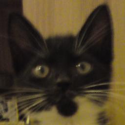 Loki070711's profile picture. 
