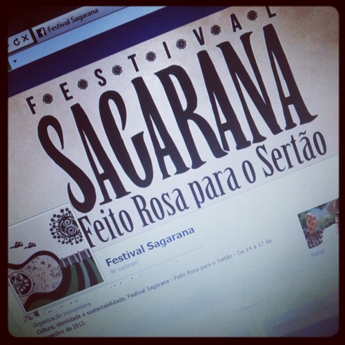 Festival Sagarana - Feito Rosa para o Sertão - de 14 a 17 de Novembro - Sagarana/Arinos - Minas Gerais - http://t.co/D5ydkCCYQQ