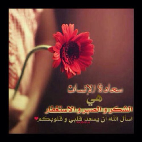 HbSnowhite130's profile picture. 