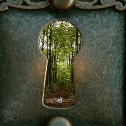 If i had a world of my own, everything would be nonsense. Nothing would be what it is because everything would be what it isnt.
