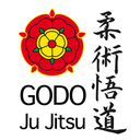 godojujitsu - @PatrickLane18 - Twitter
