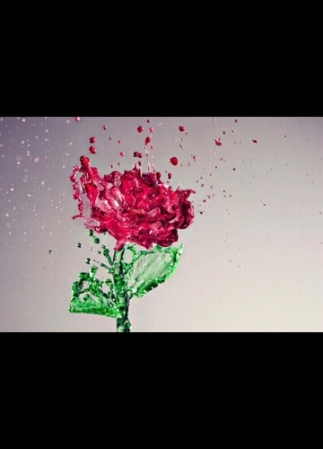 ماأجمل الحياة عندما تعمرها بطاعة الله