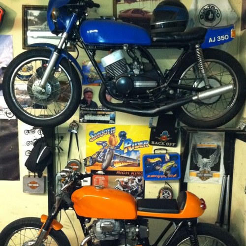 buell916's profile picture. 